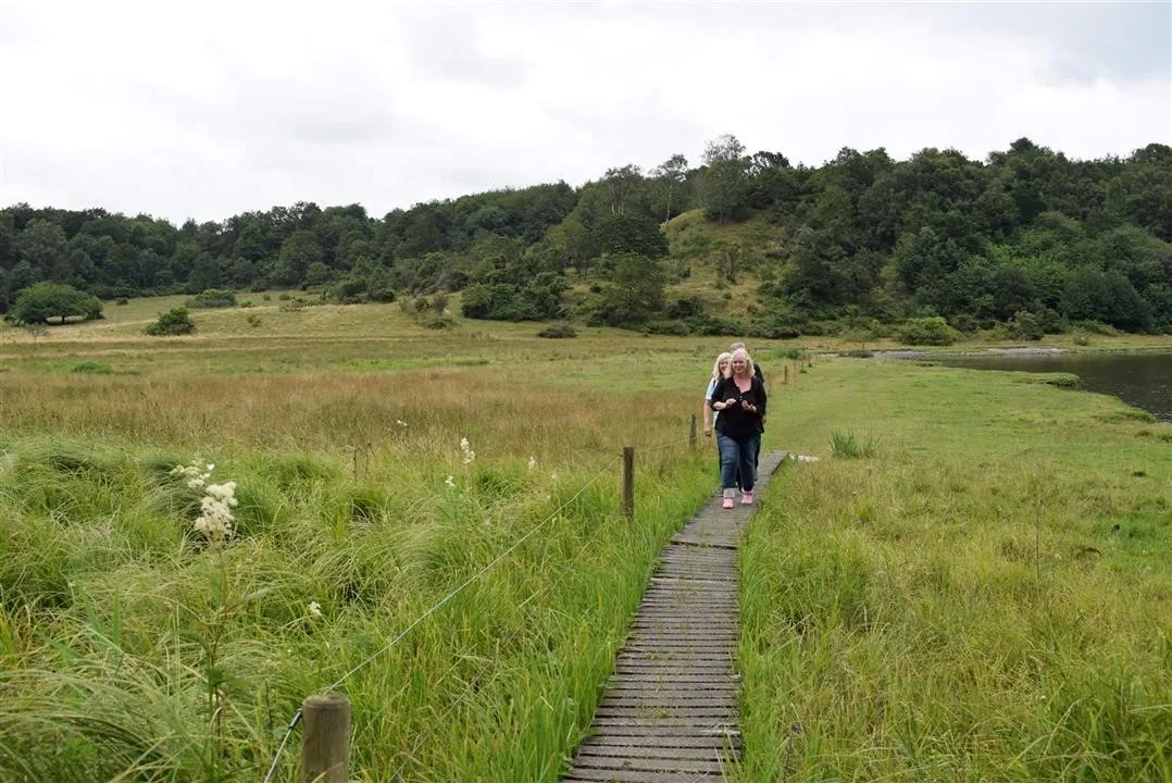 G21.5  bramslev bakker to hobro walk along mariager fjord (15)